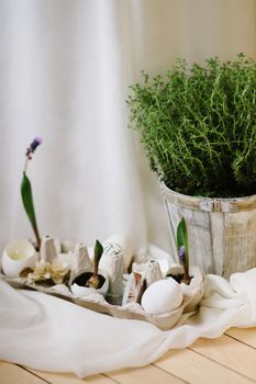 Como Usar Cachepôs Decorativos para Transformar a Decoração da Cozinha - imagem 2