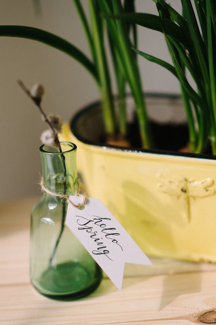 A Green Glass Vase With Hello Sprung Tag 