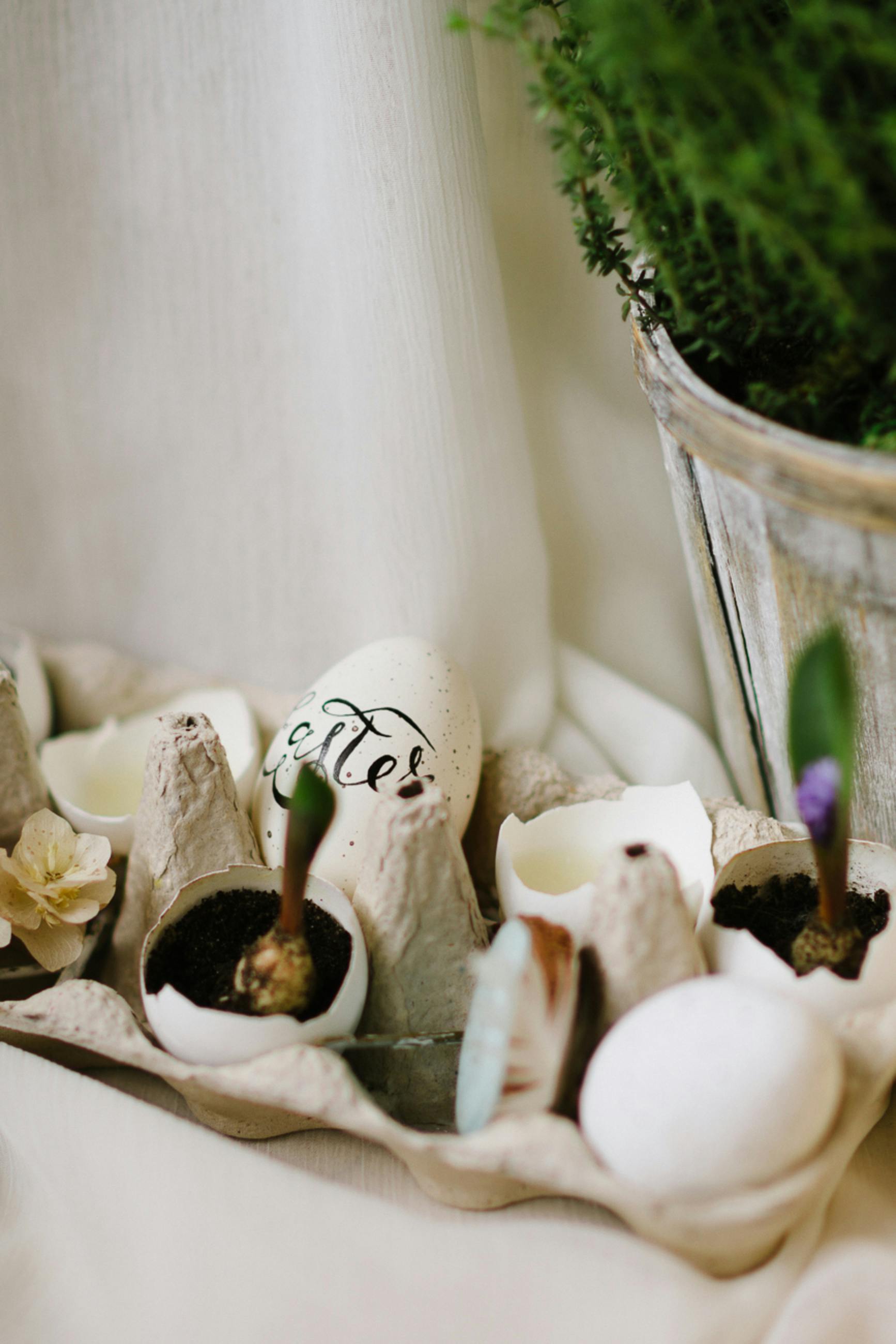 What are wants in life?