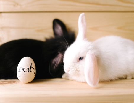 Cute black and white bunnies sitting with a decorated Easter egg on a wooden surface.