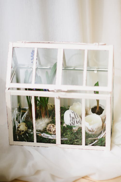 White Wooden Framed Glass Window