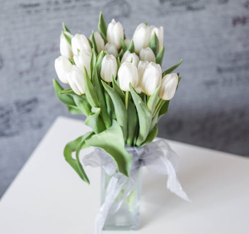 A Bouquet of White Tulips in a Vase