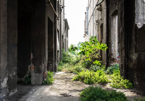 Fotos de stock gratuitas de Edificio abandonado, industial, industria