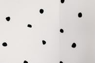 Black Dots on White Wall