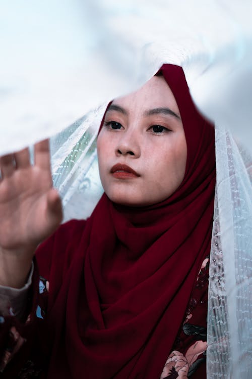 수직 쐈어, 아름다운, 아시아의의 무료 스톡 사진