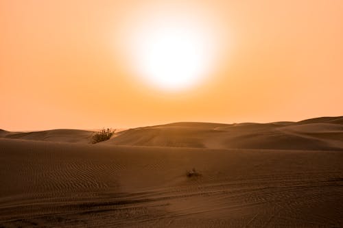 黄色い夕日の下の砂漠