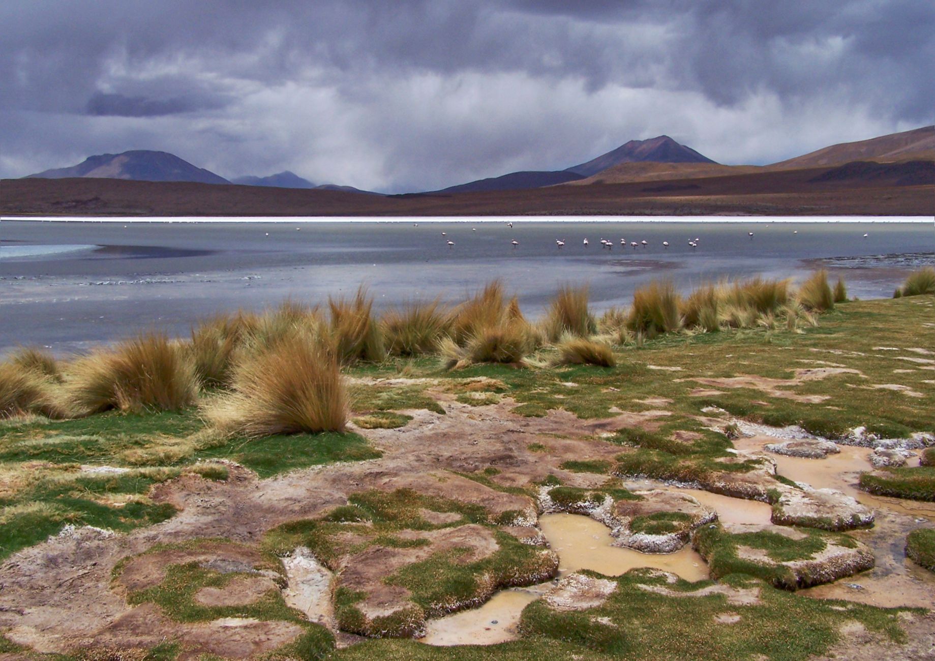 Majestic view of Altiplano lake and mountains in Potosi, Bolivia with flamingos and dramatic sky.
