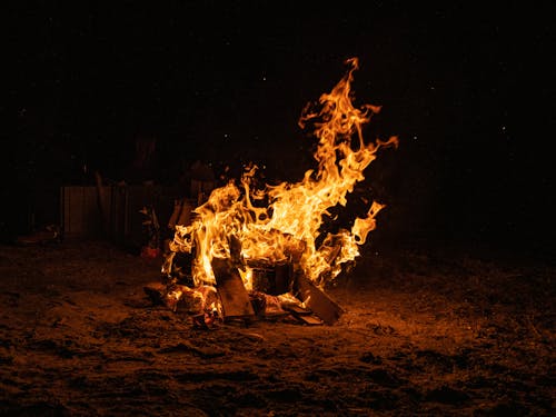 Free Gratis arkivbilde med blusse, brann, brann skog Stock Photo