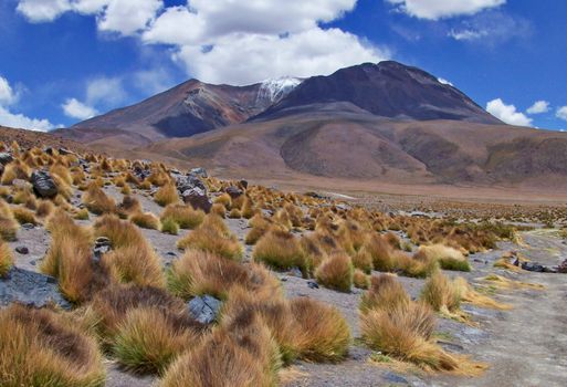 Potosi, Bolivia photo 6