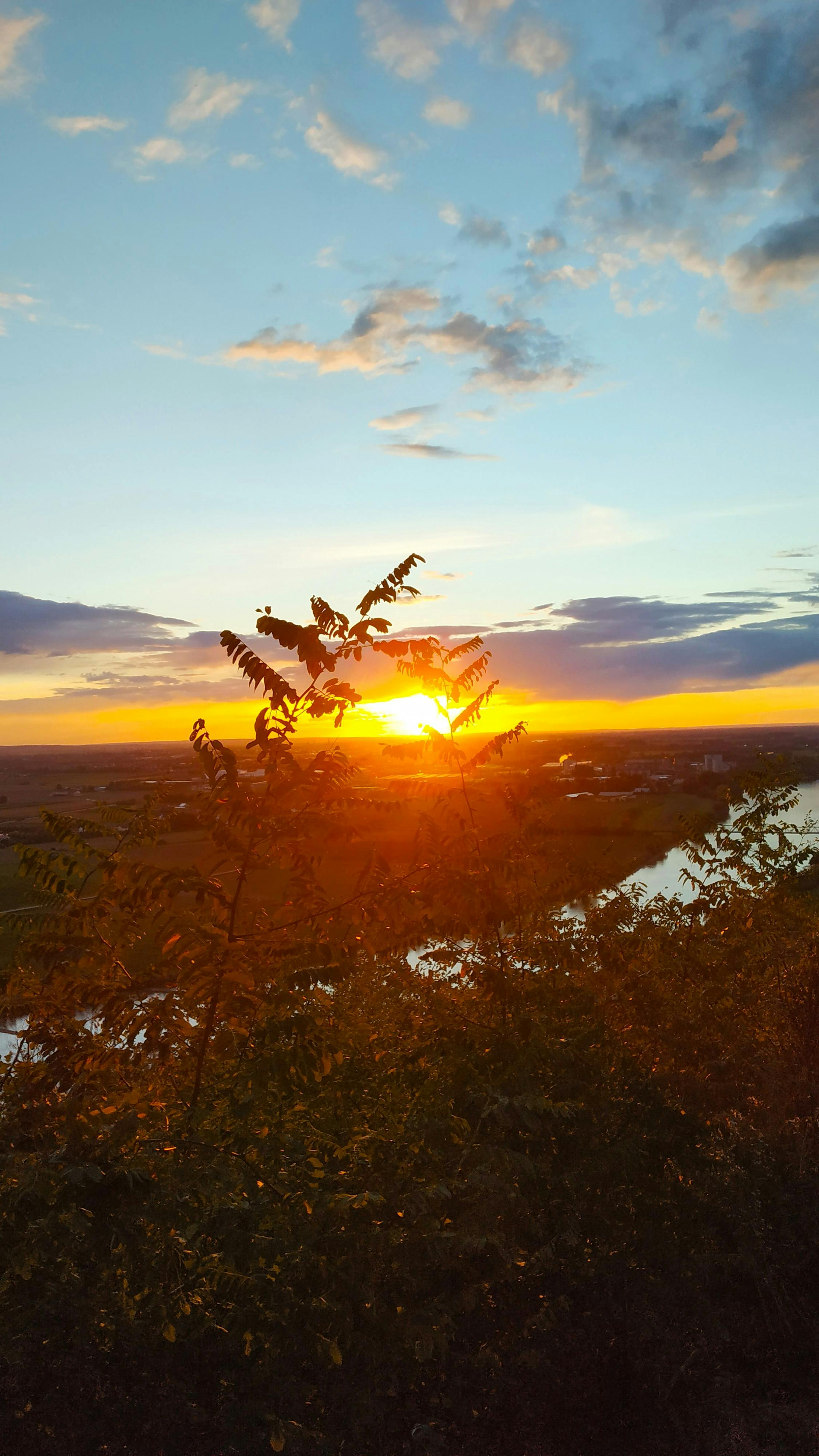 Traditionelles serbisches Essen auf einem Tisch
