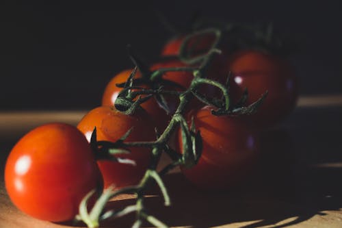 Gratuit Tomates Mûres Photos