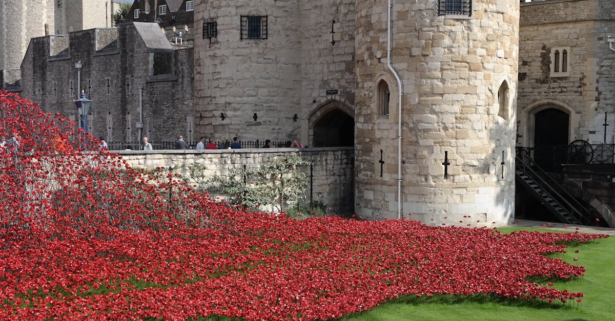 Free stock photo of tower of london