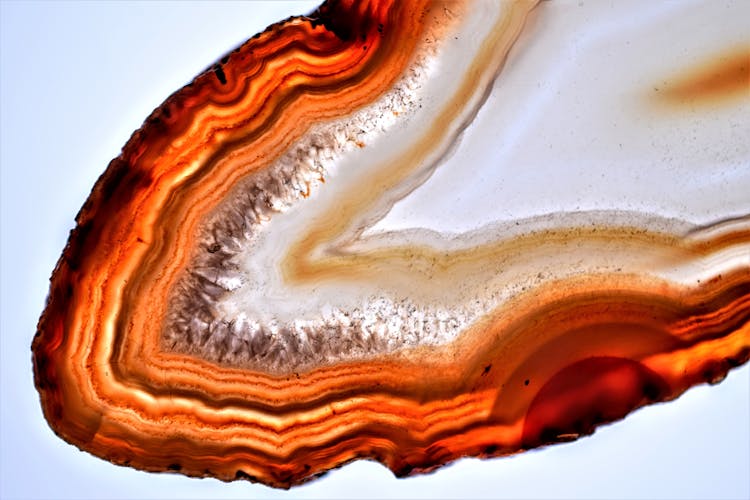 Brown Agate On White Surface