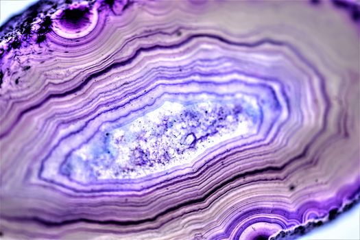 Purple Patterns in a Rock
