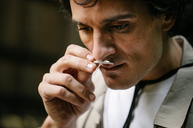 Crop Man Smelling White Flower In Garden