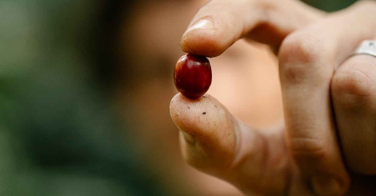 台灣UCC 40週年慶 引領精品咖啡走向國際 與阿里山優遊吧斯農場簽約合作