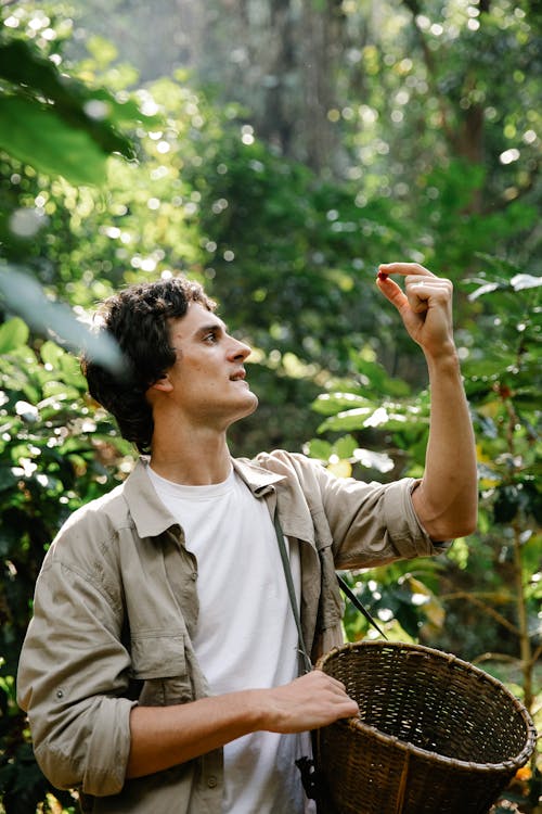 Glad male planter wearing casual outfit raising hand with red fragrant coffee cherry while standing with wicker basket in green sunny garden during harvesting season