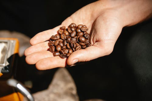 Crop unrecognizable male showing pile of roasted coffee beans with pleasant scent on sunny day