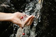 Crop anonymous person washing fresh berries in hand in cold stream in forest