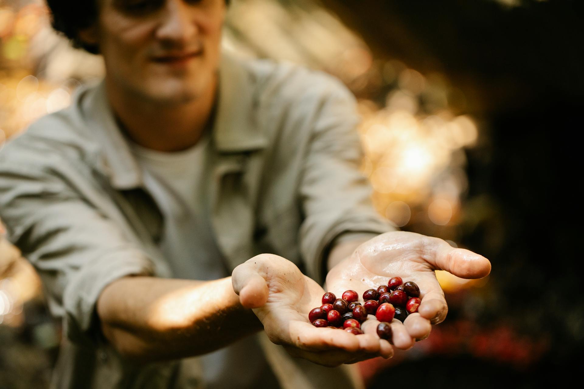 A person offering freshly picked coffee berries in a natural outdoor setting, showcasing organic farming.