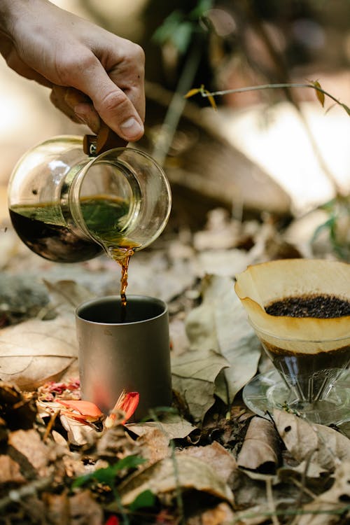 Free Crop unrecognizable male hiker pouring fresh hot coffee from chemex into metal mug placed on ground covered with dry fallen leaves at campsite Stock Photo