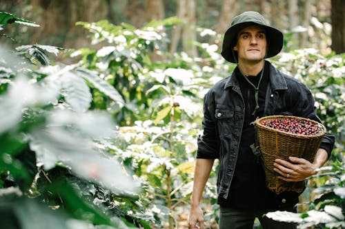 Young male gardener carrying basket with collected berries