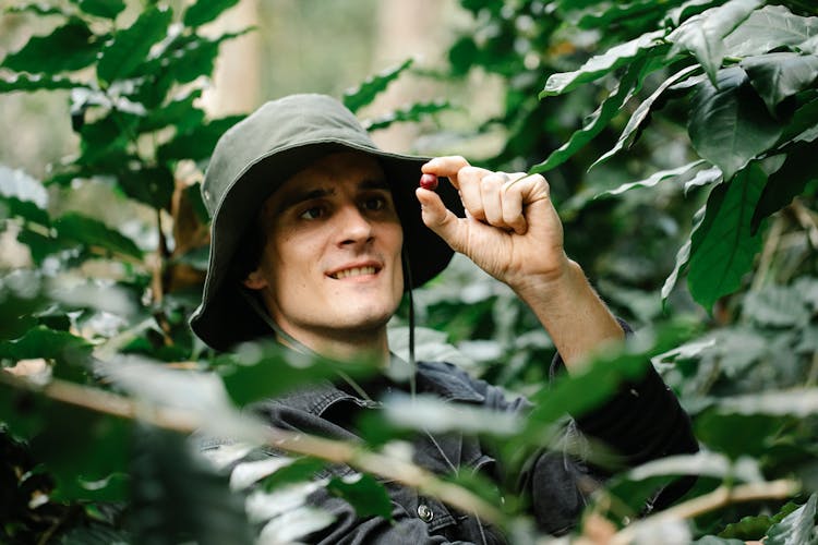 Positive Young Male Gardener Harvesting Healthy Ripe Berries