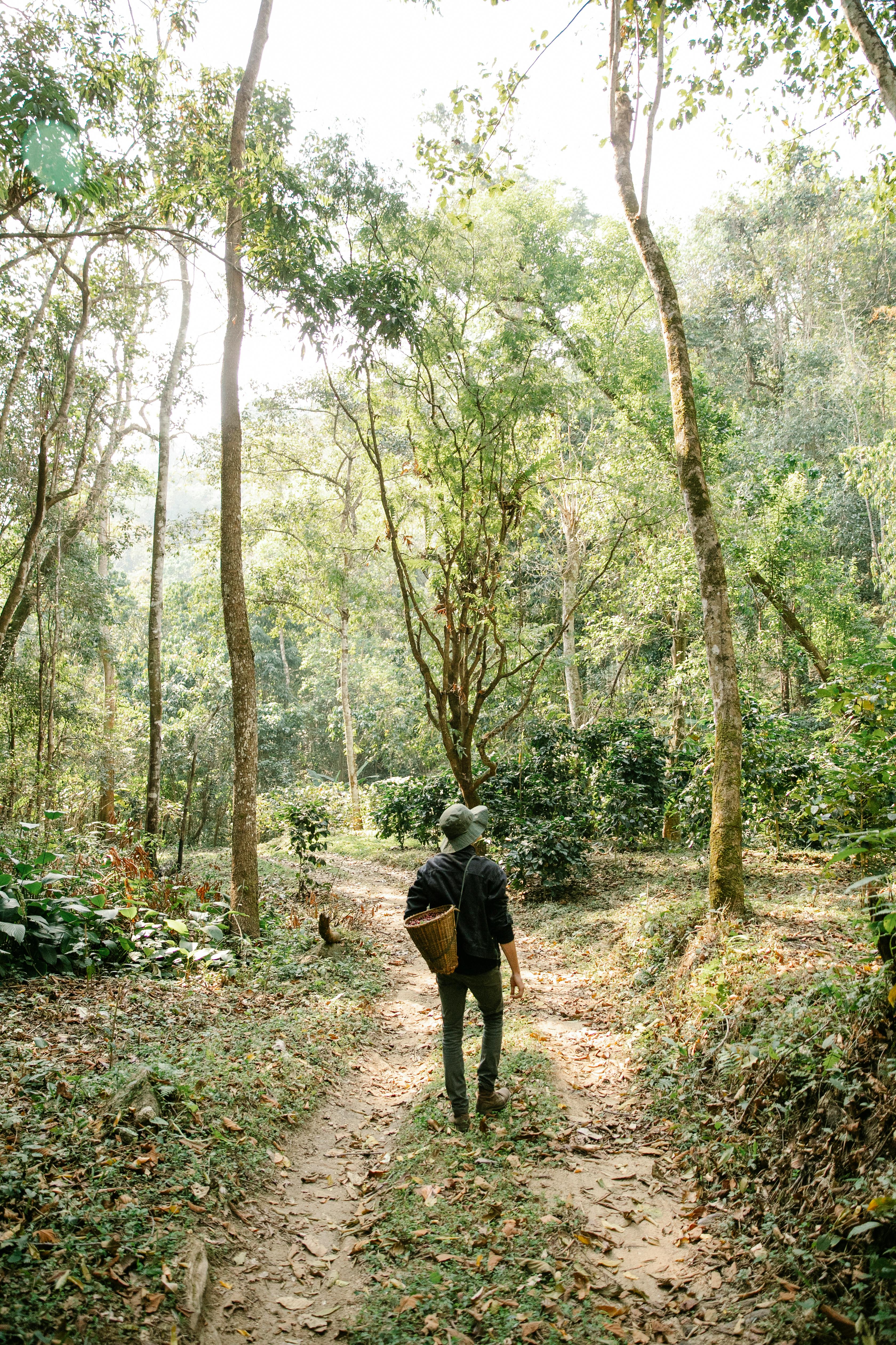 Tulburelul nou scos în zona rurală, localnicii îl îndrăznesc și pornesc la plimbare după degustare