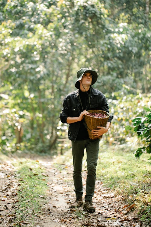 Full body of serious male with wicker basket full of coffee berries strolling on rural pathway in woods during harvest season