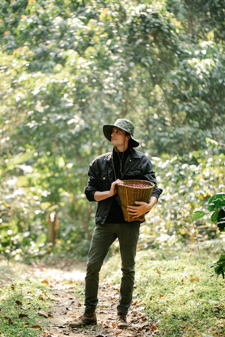 Man With Basket Of Coffee Berries In Forest