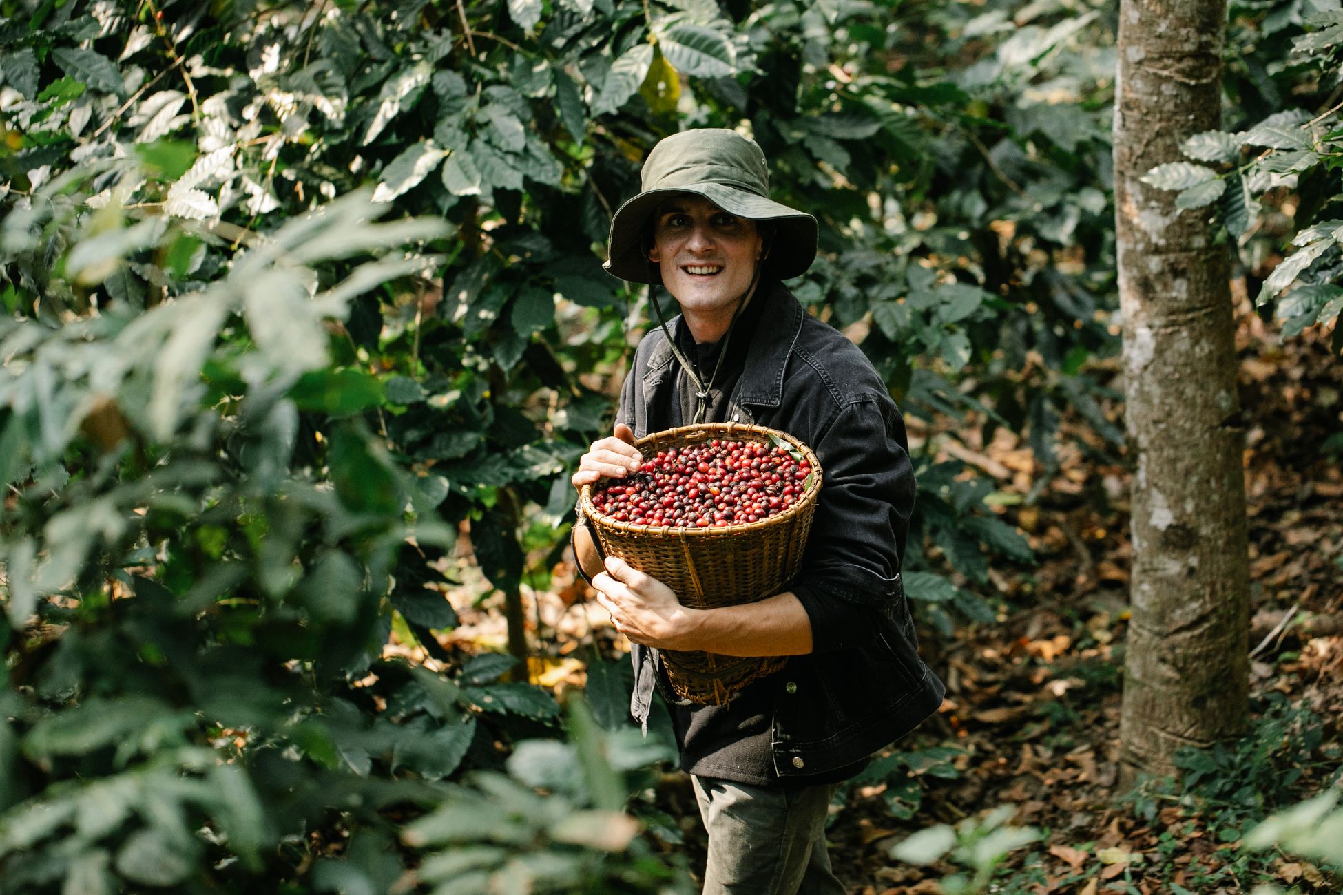 Positive male with wicker basket full of collected coffee berries looking at camera while standing in forest with green trees