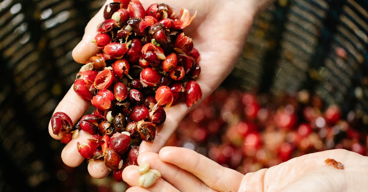 How to sort washing colors