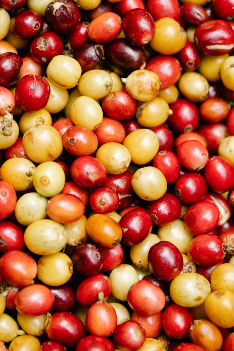 Backdrop Of Assorted Coffee Fruits With Pleasant Aroma