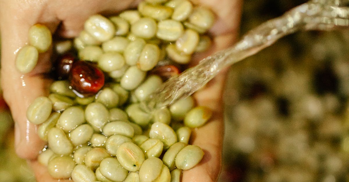 Where do coffee bean originally come from