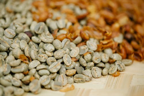 Pile of unroasted coffee bean halves with husk on bamboo surface during drying process on blurred background