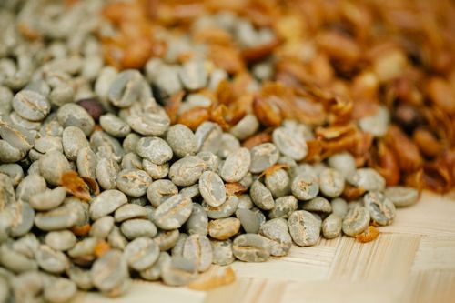 Free Pile of unroasted coffee bean halves with husk on bamboo surface during drying process on blurred background Stock Photo
