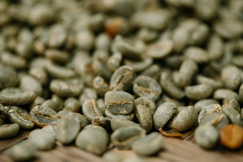 Heap of raw coffee beans drying in daytime