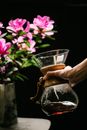 Crop anonymous person with hot drink in glass jug against blossoming flowers on black background