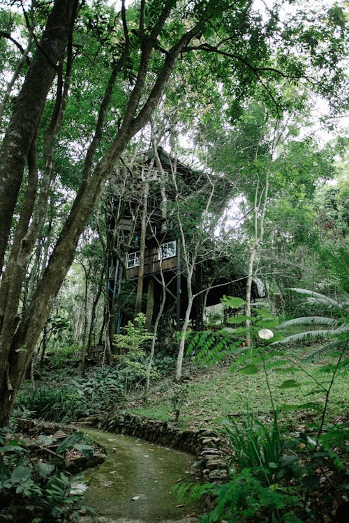 住宅, 公園, 冷靜 的 免費圖庫相片