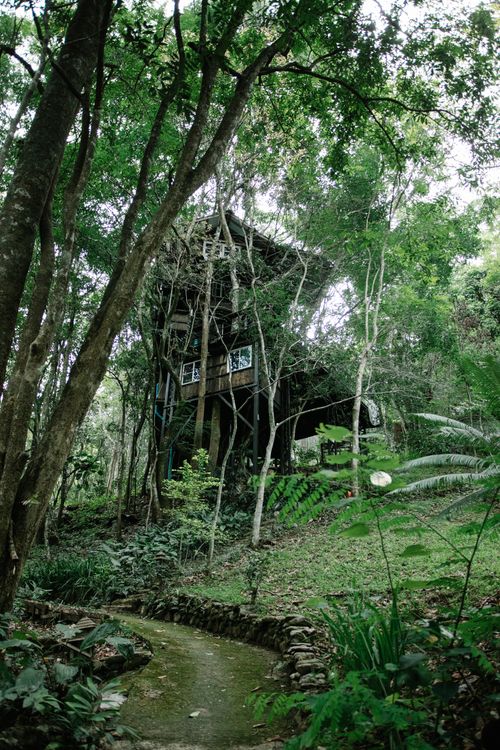Free Exterior of old wooden house amidst lush green vegetation near narrow creek in tropical forest on sunny day Stock Photo