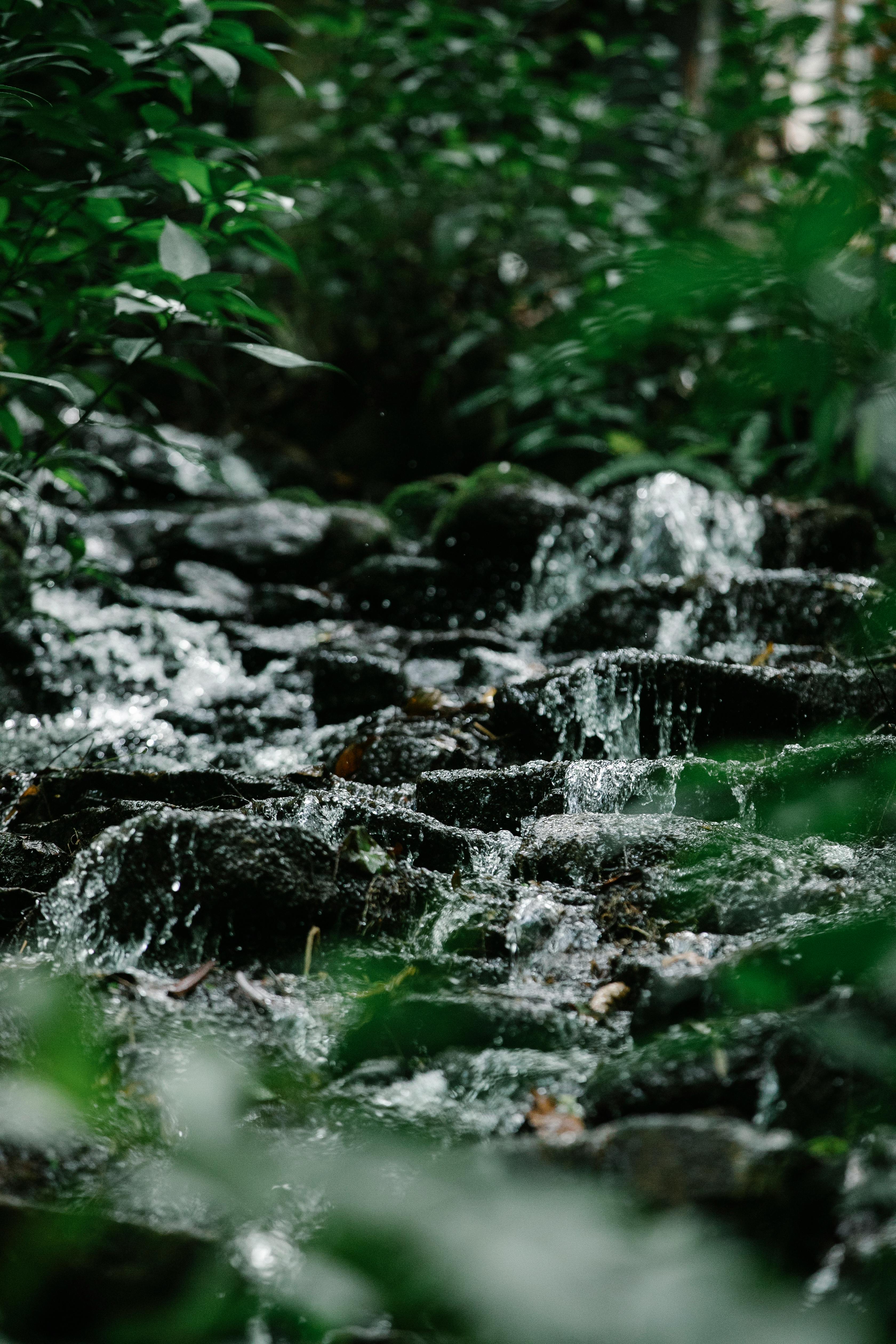 Water Stream in Rainforest: Đến và khám phá sự lưu trữ của từng giọt nước trong rừng mưa nhiệt đới qua những hình ảnh sống động của dòng nước. Mang đến một trải nghiệm độc đáo và thú vị cho người dùng trên những thiết bị iPhone của họ.