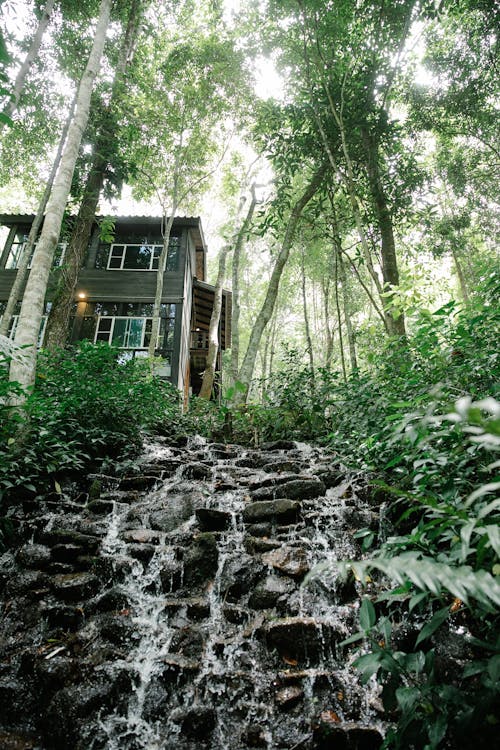 Low angle facade of wooden residential cottage located in lush green rainforest near waterfall flowing through rocky slope on sunny day