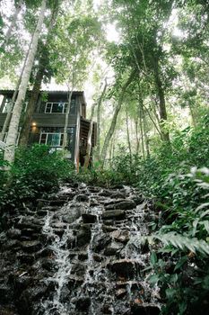 Low angle facade of wooden residential cottage located in lush green rainforest near waterfall flowing through rocky slope on sunny day