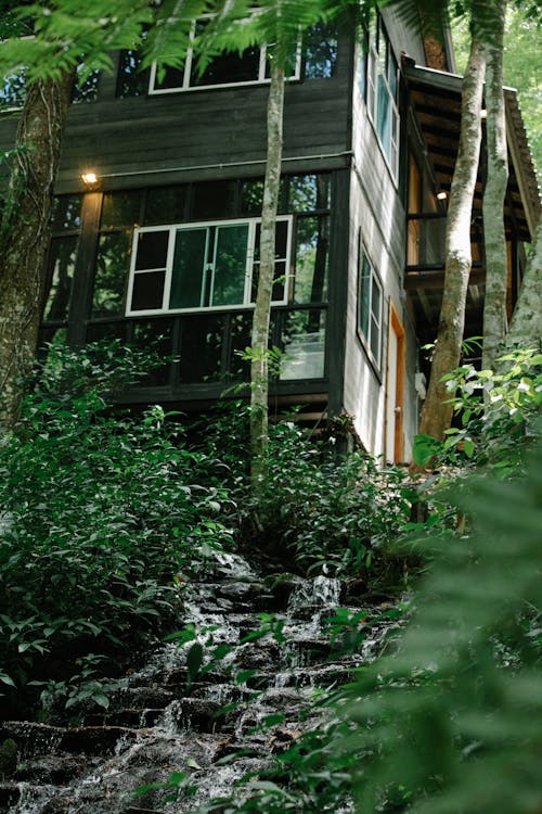 Wooden house in lush woods near water cascade
