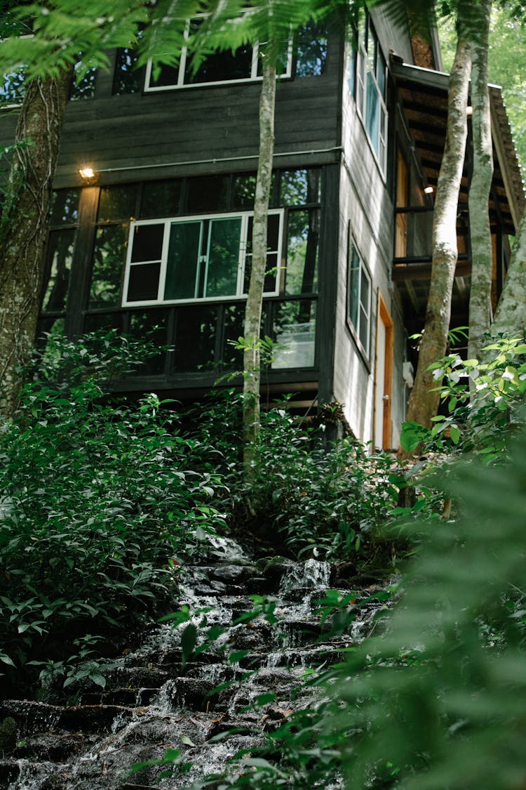 Wooden House In Lush Woods Near Water Cascade