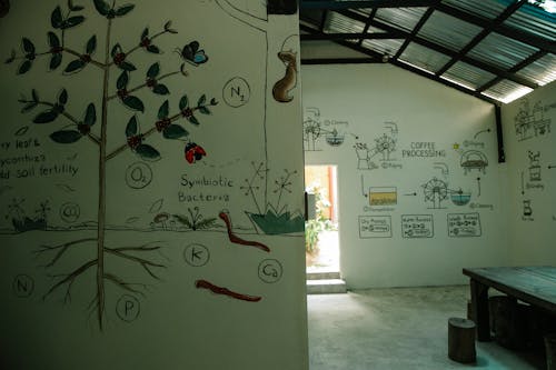 Free Interior of spacious house with various pictures on white walls showing process of coffee production in farm Stock Photo