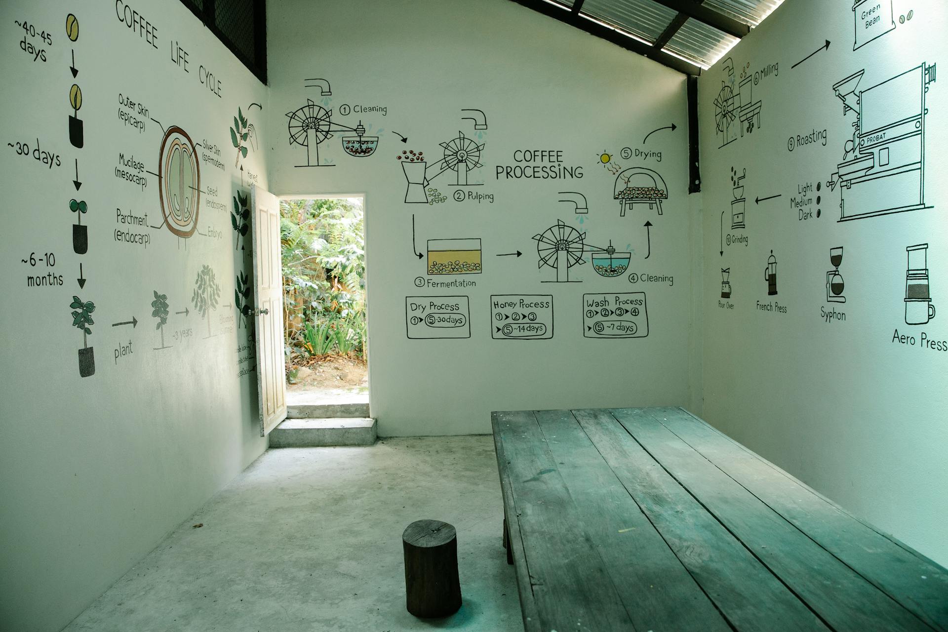 House with colorful illustrations on walls showing coffee life circle and production process