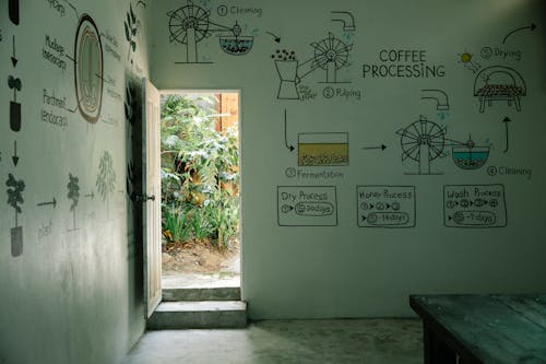 Free Creative illustrations on house walls representing stages of coffee processing Stock Photo