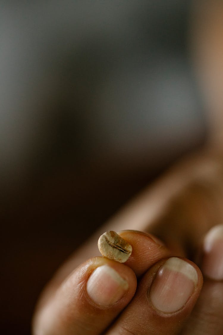 Woman With Coffee Bean In Hand