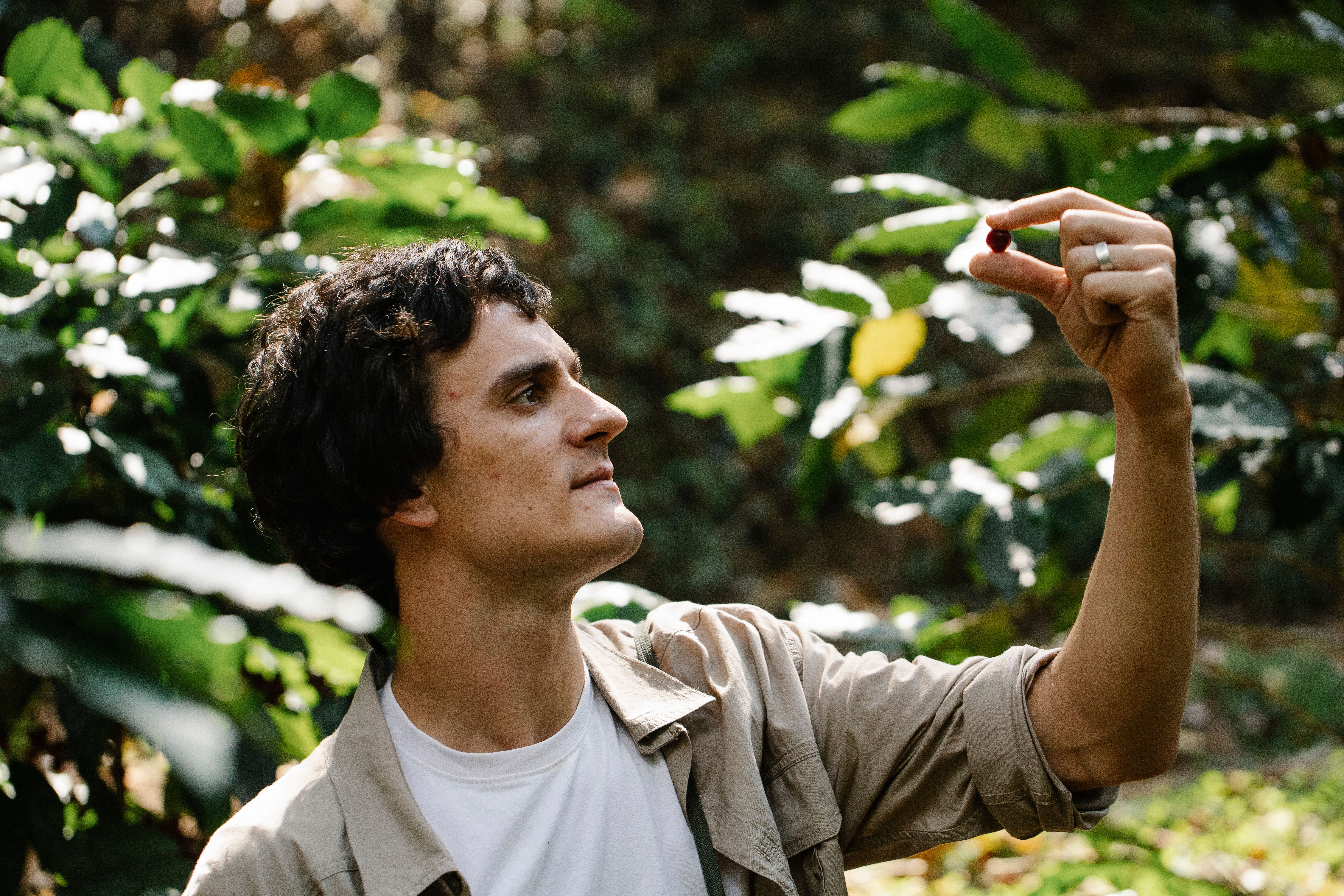Visit a working coffee farm in harvest